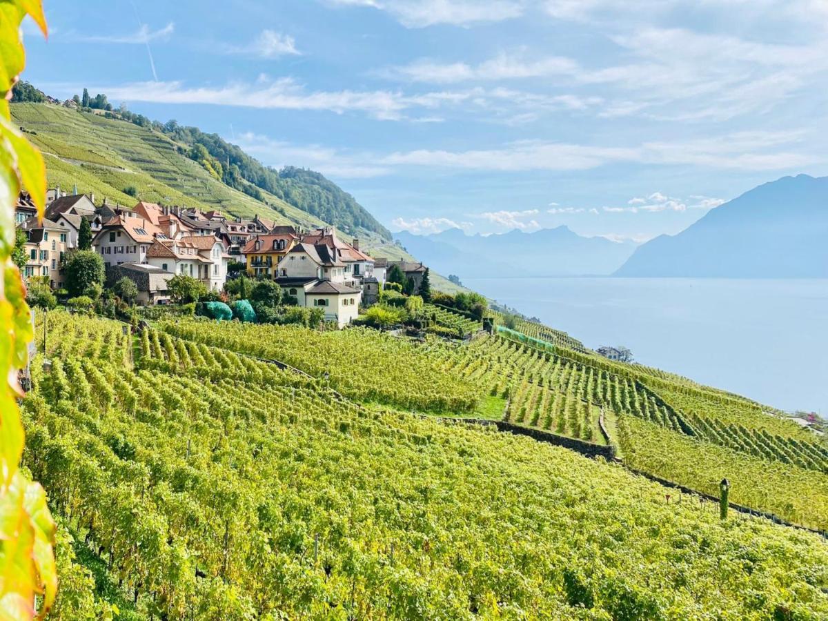 Montreux Holiday Home Exteriér fotografie