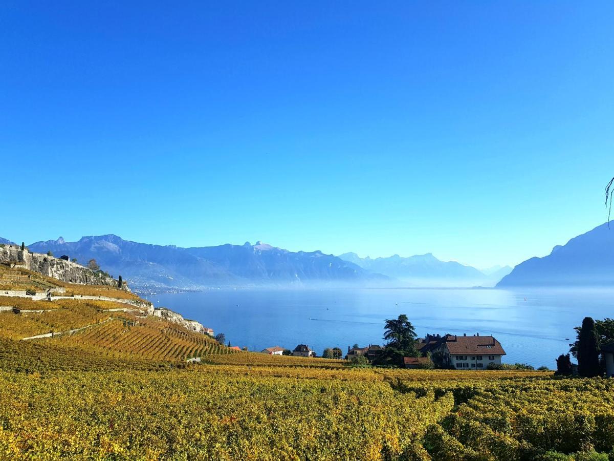 Montreux Holiday Home Exteriér fotografie